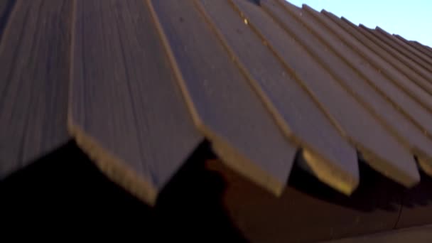 Klášter Kostel Proroka Ilji Unikátní Architektonická Památka Postavená Hutsulově Stylu — Stock video