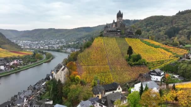 Château Cochem Autimn Sur Une Rivière Moselle Allemagne Drone Aérien — Video