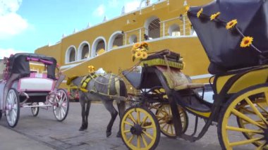 Meksika, Yucatan 'daki Izamal şehrinde at arabası. San Antonio de Padua Manastırı Katolik Kilisesi - Pueblo Magico. Yüksek kalite 4k görüntü