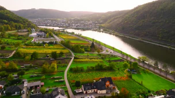 Aerial Flyby Κατά Μήκος Του Ποταμού Moselle Ρηνανία Παλατινάτο Γερμανία — Αρχείο Βίντεο