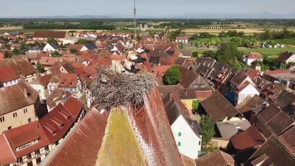 Flygdrönare Skott Eguisheim Byn Alsace Provinsen Frankrike Pittoresk Solig Sommardag — Stockvideo
