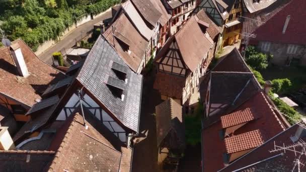 Aerial Drone Shot Del Pueblo Eguisheim Provincia Alsacia Francia Pintoresco — Vídeos de Stock