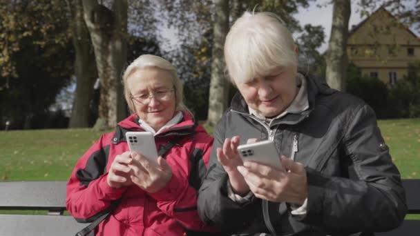 Senior Caucasian Sisters Autumn Park Watching Phone Smiling Discuss Sunny — Stock Video