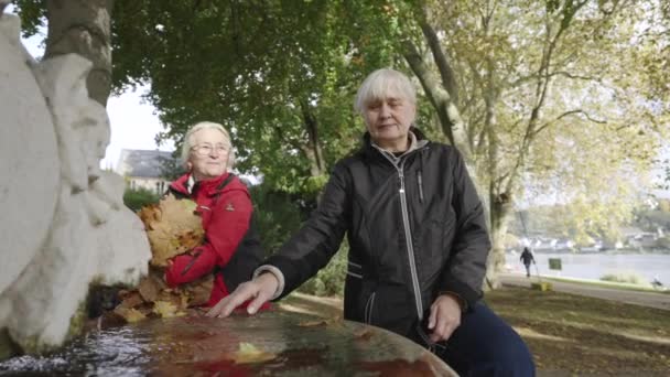 Senior Sœurs Caucasiennes Autumn Park Jouer Grand Mères Jetant Des — Video