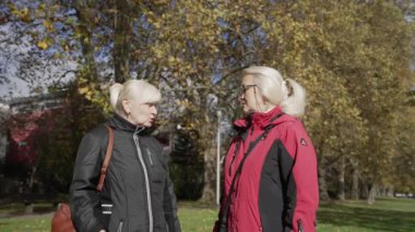 Senior Caucasian Sisters in Autumn Park Discussing and Arguing. Granny pissed off. Disputing, argument, controversy. High quality 4k footage