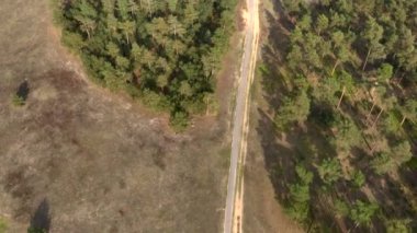 Hollanda 'daki Veluwe Ulusal Parkı, Hava Aracı Atışı. Kum tepeleri ve çam ormanları, yukarıdan manzara. Yüksek kalite 4k görüntü