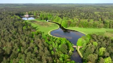 Hollanda 'daki Veluwe Ulusal Parkı, Hava Aracı Atışı. Kum tepeleri ve çam ormanları, yukarıdan manzara. Yüksek kalite 4k görüntü