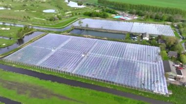 Hollanda 'daki büyük bir ticari serada insansız hava aracı görüntüsü. Gündüz vakti havadan çekilmiş. Güneş yansıması ve bulutlar. Yüksek kalite 4k görüntü