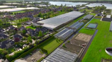 Hollanda 'daki büyük bir ticari serada insansız hava aracı görüntüsü. Gündüz vakti havadan çekilmiş. Güneş yansıması ve bulutlar. Yüksek kalite 4k görüntü