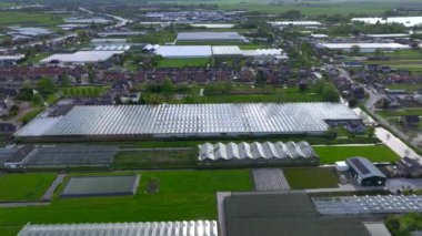 Hollanda 'daki büyük bir ticari serada insansız hava aracı görüntüsü. Gündüz vakti havadan çekilmiş. Güneş yansıması ve bulutlar. Yüksek kalite 4k görüntü