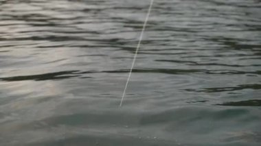 Fjord 'da Balıkçılık. Adam Norveç 'te oltayla balık tutuyor. İskandinav fiyortlu tekne balıkçısı. Yüksek kalite 4k görüntü