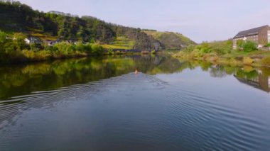 Moselle Nehri boyunca uzanan yol, Almanya. Sonbaharda Picturesque Valley 'in havadan çekimi. Rhineland-Palatinate, Almanya. Yüksek kalite 4k görüntü
