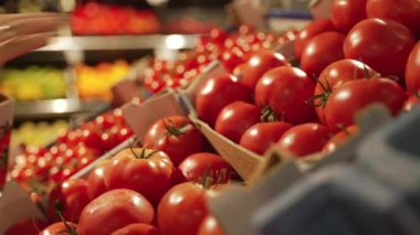 Bir satıcının elleri süpermarketteki raftaki domatesleri serer. 4km 'lik yakın çekim. Ağır çekim. Yüksek kalite 4k görüntü