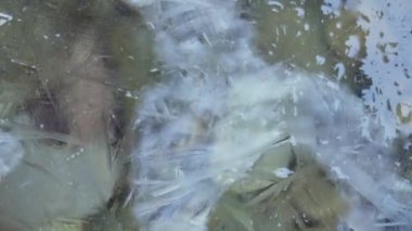 İlkbaharda donmuş nehirde buz eriyor, baharda su basıyor, yakın çekim. Su ve buz. Yüksek kalite 4k görüntü