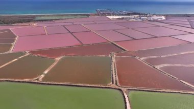 İspanya 'da renkli tuzlu su bataklığı, San Pedro tuz düzlükleri ve Mar Menor' un havadan görünüşü, Murcia bölgesi, İspanya. Yüksek kalite 4k görüntü