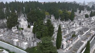  Portekiz mezarlığı Lizbon 'da Prazeres, Portekiz sisli bulutlu havada, hava aracı atışı. Yüksek kalite 4k görüntü