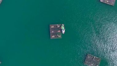 Kuzey İspanya 'da, Pontevedra' da Mussel Farms 'ın yanında işçileri olan bir gemi. Üst hava görüntüsü. Yüksek kalite 4k görüntü