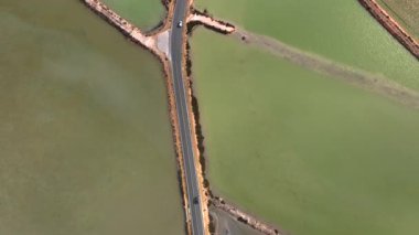 İspanya 'da renkli tuzlu su bataklığı, San Pedro tuz düzlükleri ve Mar Menor' un havadan görünüşü, Murcia bölgesi, İspanya. Yüksek kalite 4k görüntü