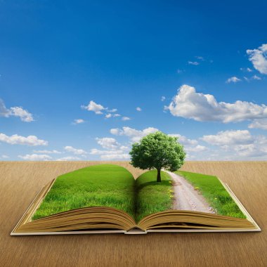 Bir peyzaj ile açık kitap