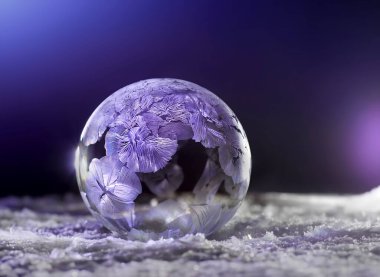 Donmuş sabun köpüğü. Sabun köpüğündeki mor çiçek