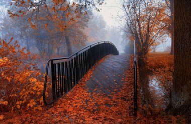 Parktaki puslu sonbahar manzarası