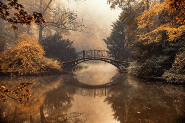 Parkta sonbahar sisli manzarası. Sabahları güneş ışınları