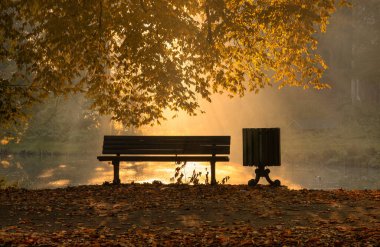 Parkta sonbahar sisli manzarası. Sabahları güneş ışınları