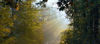 Sonbahar sabahları güneş ışınları
