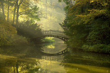 Parkta sonbahar sisli manzarası. Sabahları güneş ışınları