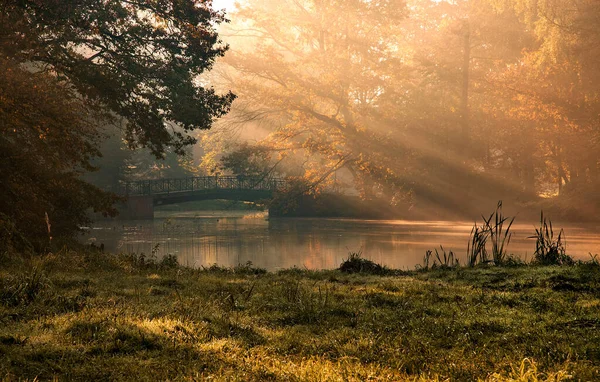 Autumn Misty Landscape Park Sun Rays Morning — Stock Photo, Image