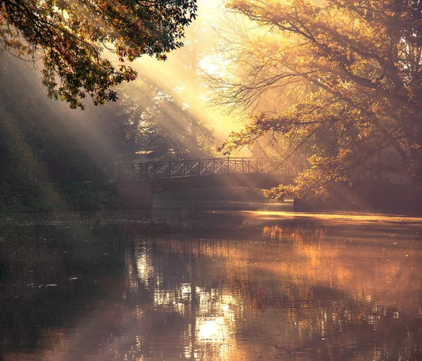 Autumn Misty Landscape Park Sun Rays Morning — Stock Photo, Image