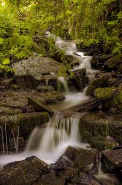 Şelale manzarası. Dağlar su taşkınlığı 