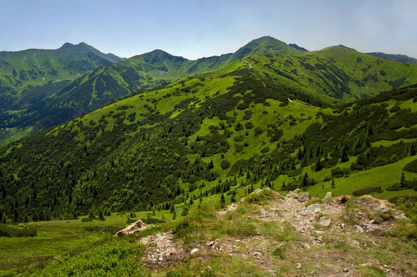 Montagnes Tatra Paysage Vert — Photo