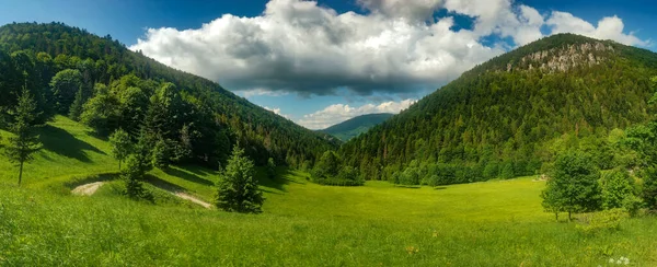 Hermoso Paisaje Montaña Eslovaquia Con Hierba Verde —  Fotos de Stock