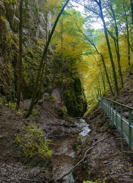 Dağda yürüyüş parkurunda. Slovakya doğası (Janosikowe Diery )