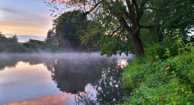 Ormanda nehri olan güzel bir manzara.