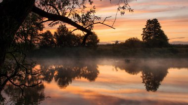 Sonbahar ormanında gün doğumu