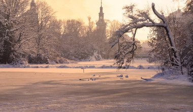 kış, donmuş nehir