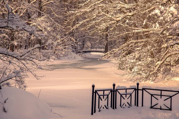 Bir yolu olan kış manzarası
