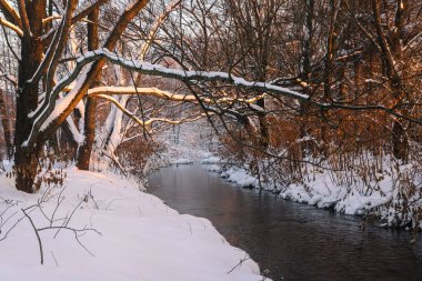 Parktaki güzel kış manzarası