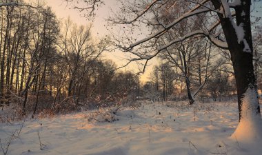 sunset Park'taki kış
