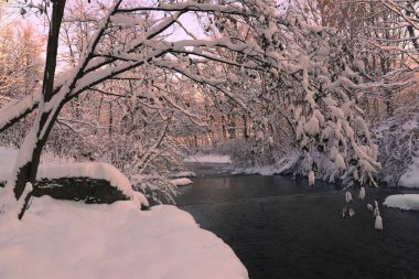 Karla kaplı ağaçlarla kaplı güzel kış manzarası