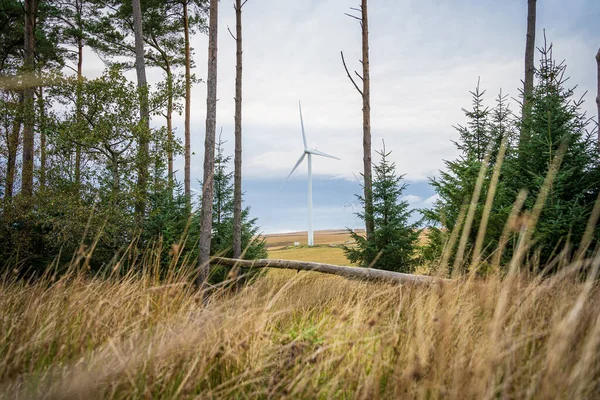 Wind turbine seen through gap between trees in forest, South Wales, the United Kingdom. Renewable energy, environment impact concept.