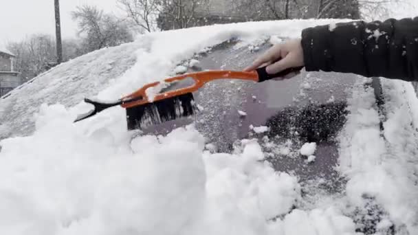 冬の豪雪時には アイスクレーパーとブラシツールで雪から車のフロントウィンドウを掃除する — ストック動画