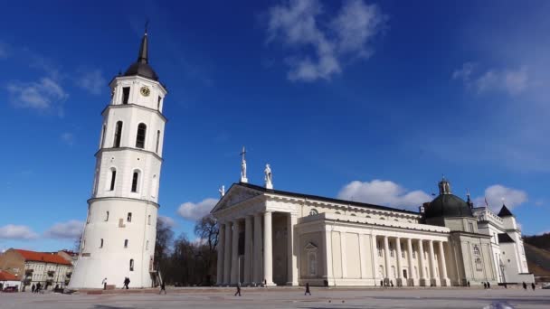 鐘楼と聖スタニスラウス大聖堂と聖ヴラディスラフビリニュスの大聖堂広場で晴れた冬の日に リトアニアのヴィリニュス 2023年3月8日 — ストック動画