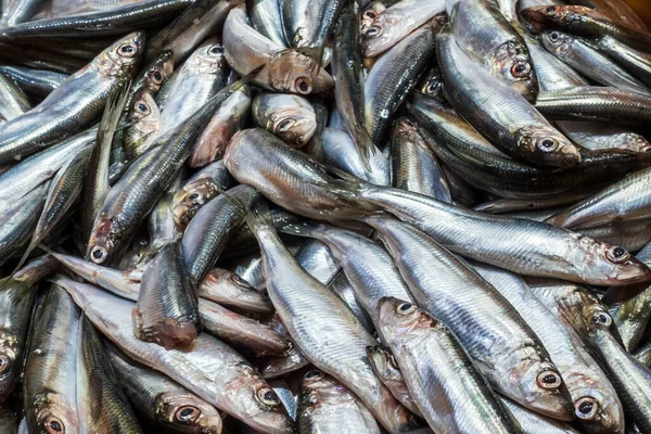 stock image Many Raw Small Sprat Fishes Background. Top View. Bulk of Fresh Sprats on a Market Stall.