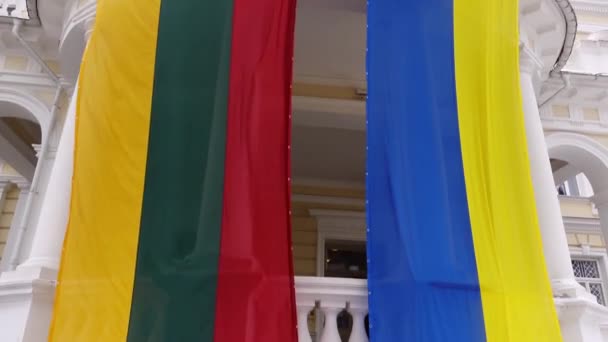Ukrainische Und Litauische Nationalflaggen Gebäude Des Litauischen Verteidigungsministeriums Vilnius Litauen — Stockvideo