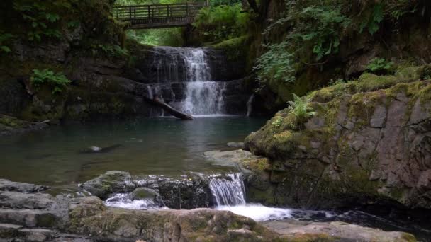 Sychryd Cascades Sgydau Sychryd Falls Wooden Bridge Waterfall Country Dinas — Stock Video