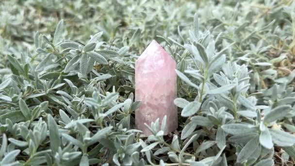 Punto Cuarzo Rosa Pie Hierba Aire Libre Torre Piedras Preciosas — Vídeos de Stock