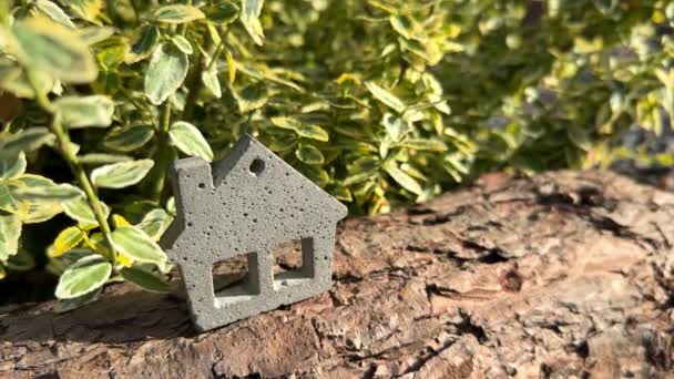 Miniatur Spielzeughaus Aus Beton Auf Holz Mit Grünem Pflanzenhintergrund Umweltfreundliches — Stockvideo